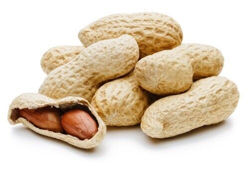 10 Lb In Shell Fresh Roasted Peanuts Unsalted natural cacahuate tostado