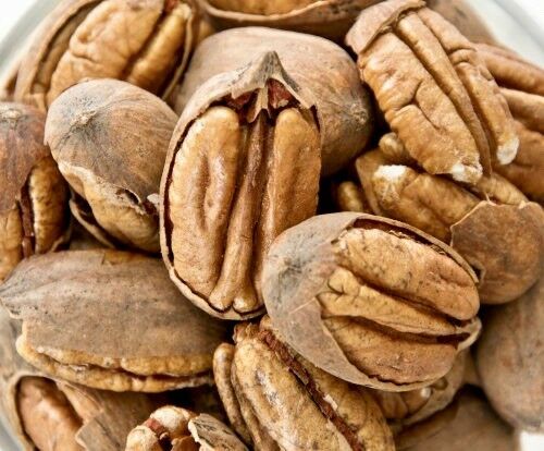 3 Lbs. Texas Pecans Whole With Shell Fresh Crop Easy To Crack Organic Candy Pie